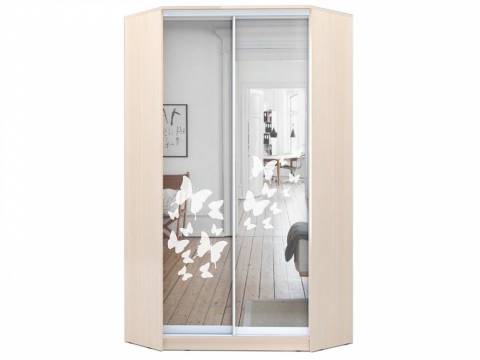 Шкаф-купе Хит-У-22-4-66