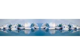 Фартук с фотопечатью Голубые ракушки SP027