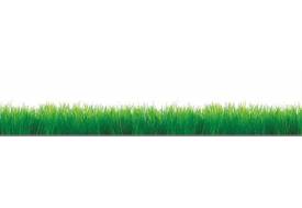 Фартук с фотопечатью Трава SP146